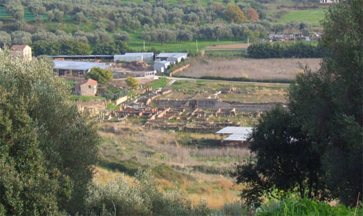 Archaeological Area